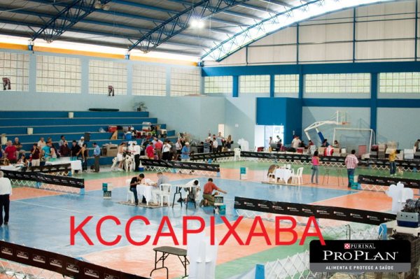 Clique sobre a foto para fechar